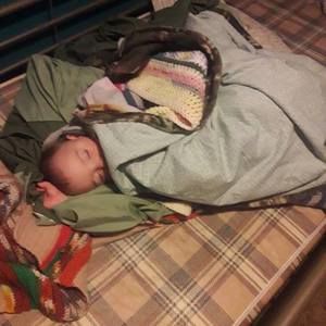 Meet your Posher, Rosetta